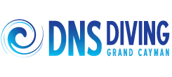 dns-logo